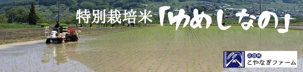 特別栽培米 ゆめしなの