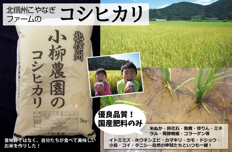 コシヒカリの通販｜長野県産特別栽培米100%｜北信州小柳農園