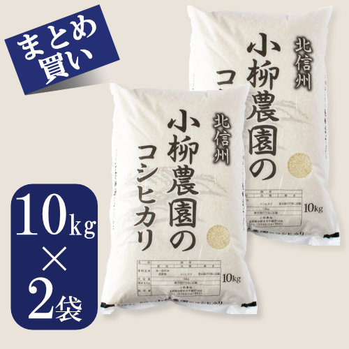 お米のまとめ買いランキング1位コシヒカリ10Kg×2《白米》特別栽培米・送料込