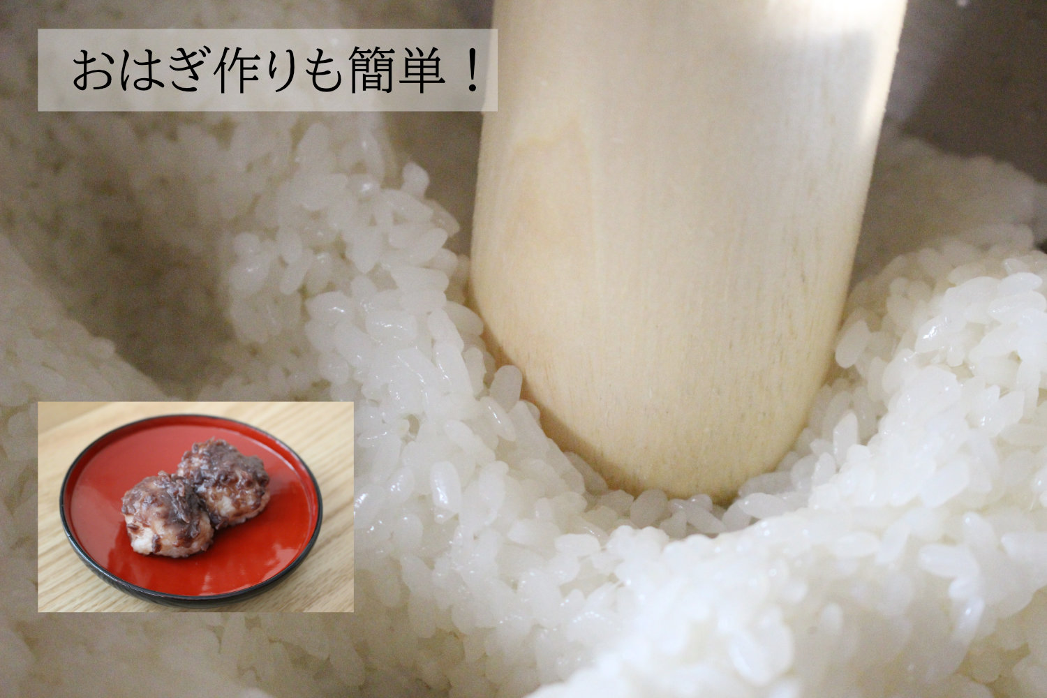 特別栽培米もちひかり1kg（もち米少量パック）　お米通販の小柳農園