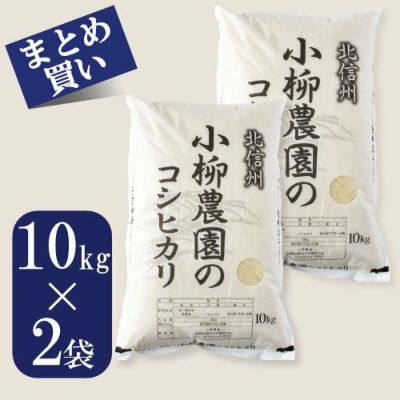 Amazon.co.jp: 愛知県産コシヒカリ 10kg(5kg×2） 令和4年産