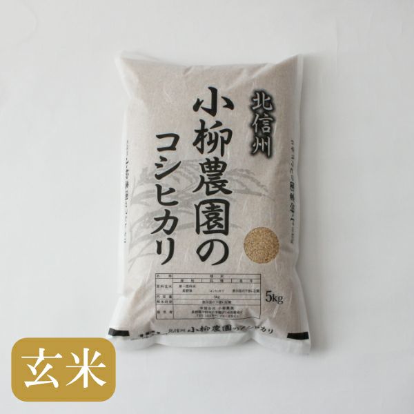 玄米コシヒカリ5㎏