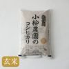 玄米コシヒカリ5㎏